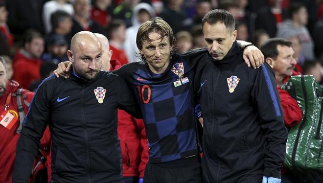 费内巴切的 费内巴切的